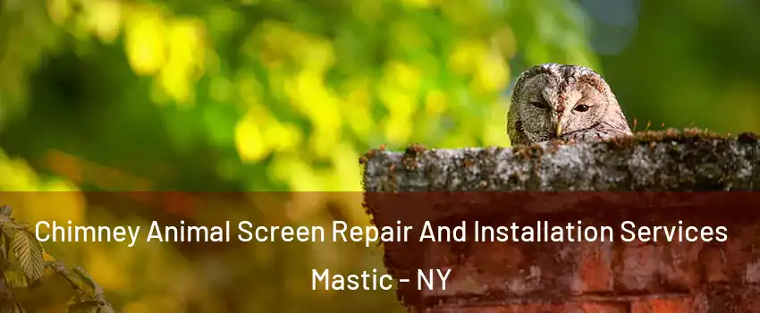  Chimney Animal Screen Repair And Installation Services Mastic - NY