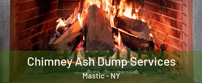  Chimney Ash Dump Services Mastic - NY