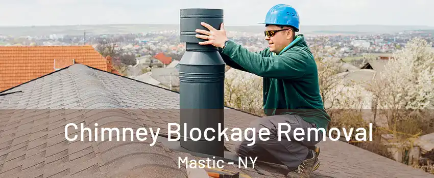  Chimney Blockage Removal Mastic - NY