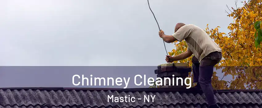  Chimney Cleaning Mastic - NY