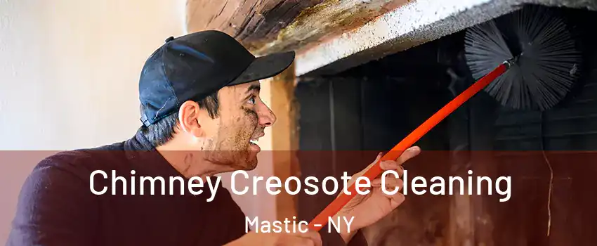  Chimney Creosote Cleaning Mastic - NY