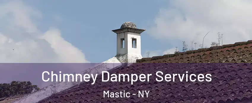  Chimney Damper Services Mastic - NY