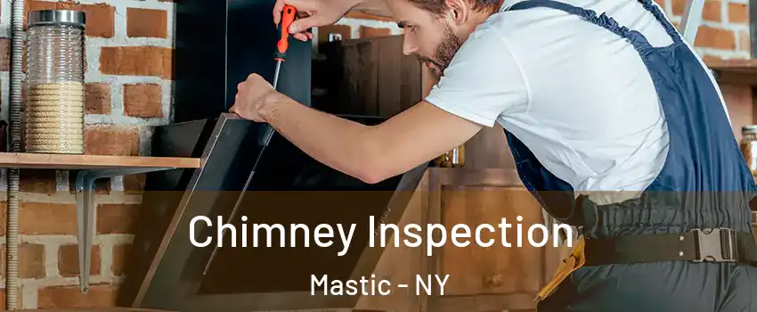  Chimney Inspection Mastic - NY
