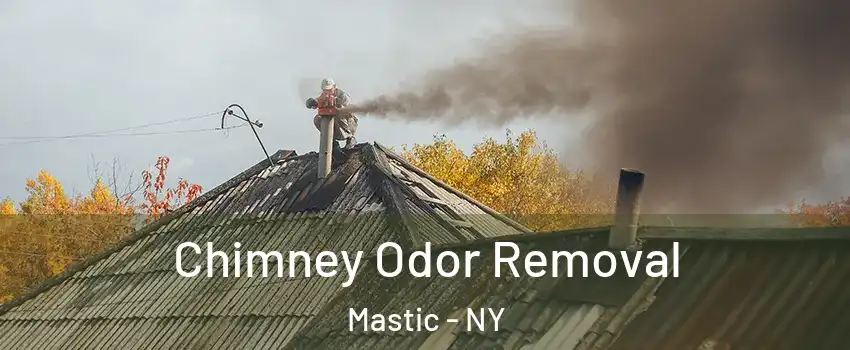  Chimney Odor Removal Mastic - NY