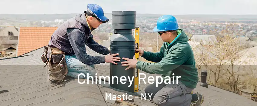  Chimney Repair Mastic - NY