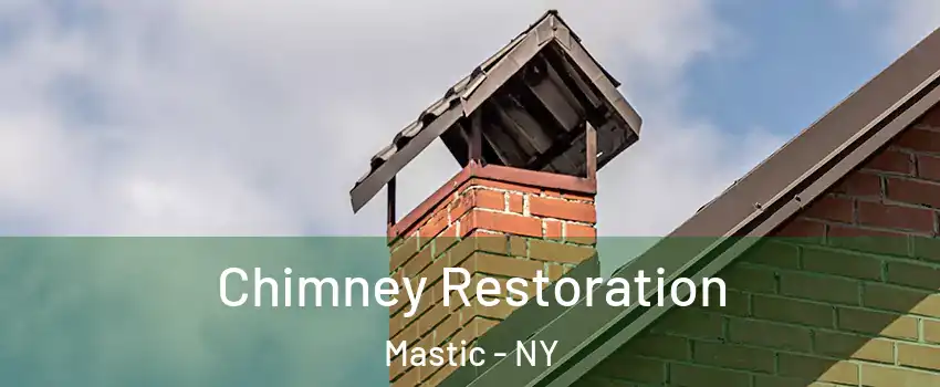  Chimney Restoration Mastic - NY