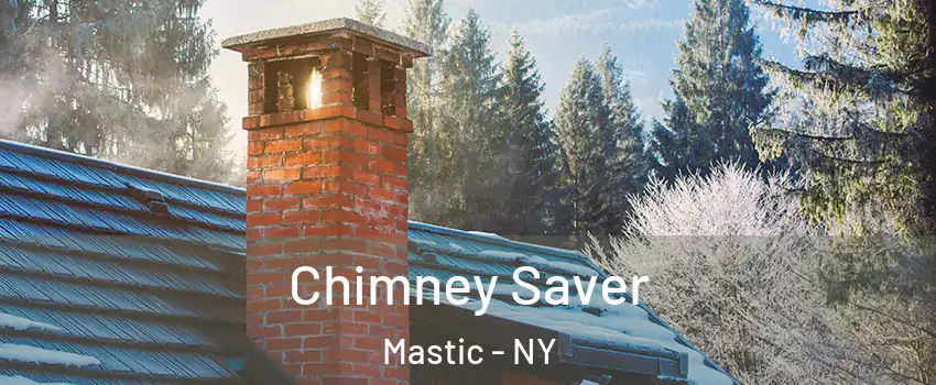  Chimney Saver Mastic - NY