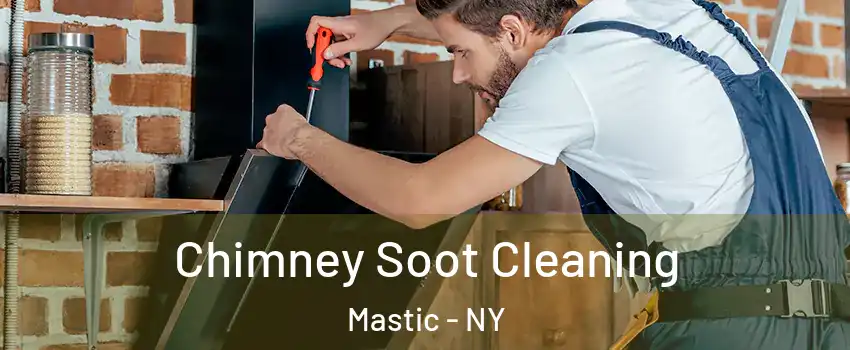  Chimney Soot Cleaning Mastic - NY