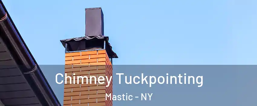  Chimney Tuckpointing Mastic - NY
