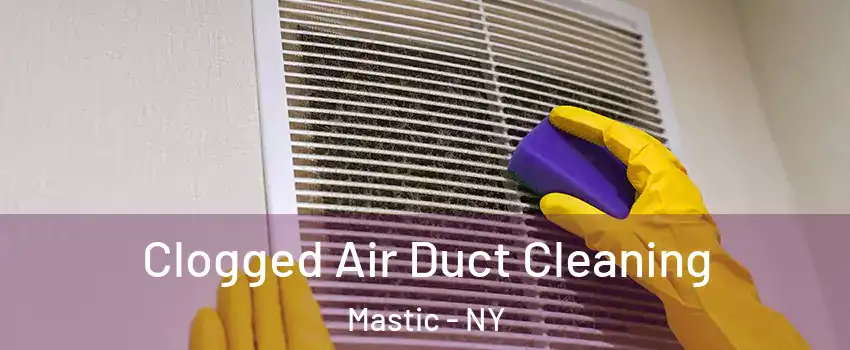  Clogged Air Duct Cleaning Mastic - NY