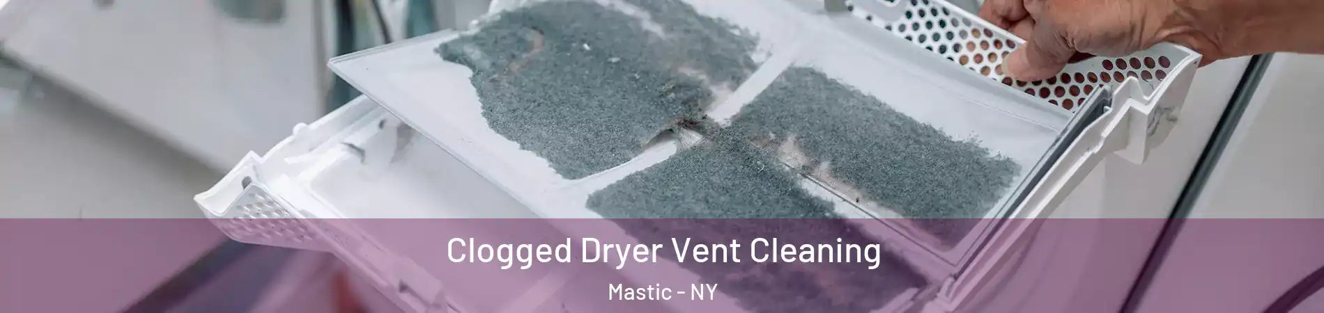  Clogged Dryer Vent Cleaning Mastic - NY