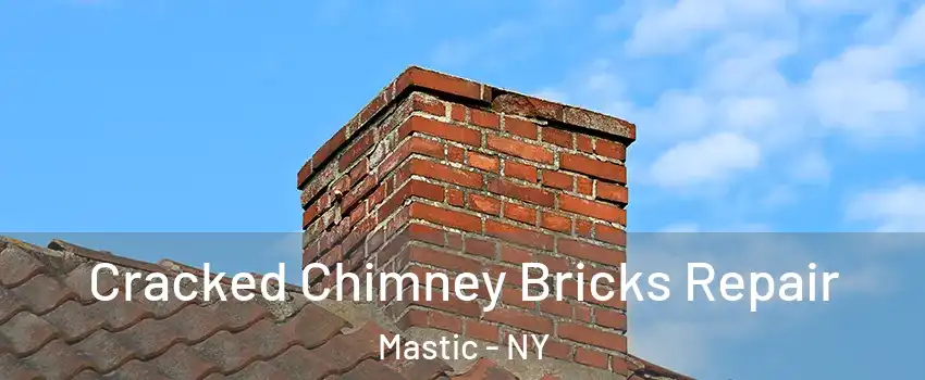  Cracked Chimney Bricks Repair Mastic - NY