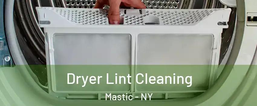  Dryer Lint Cleaning Mastic - NY