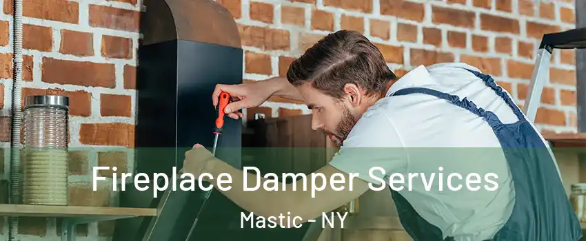  Fireplace Damper Services Mastic - NY
