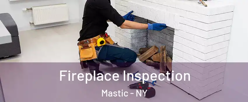  Fireplace Inspection Mastic - NY