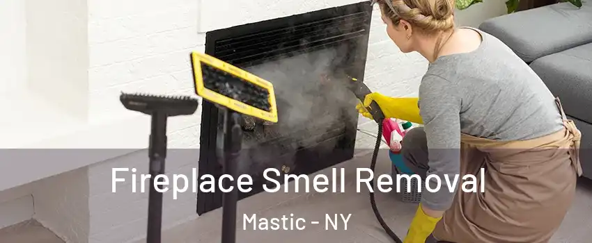  Fireplace Smell Removal Mastic - NY