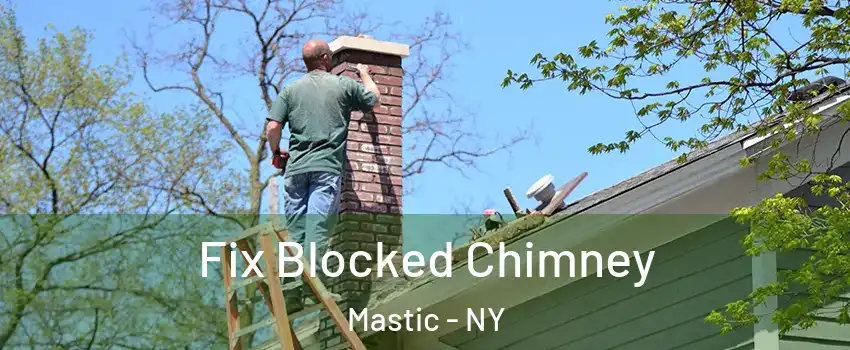  Fix Blocked Chimney Mastic - NY