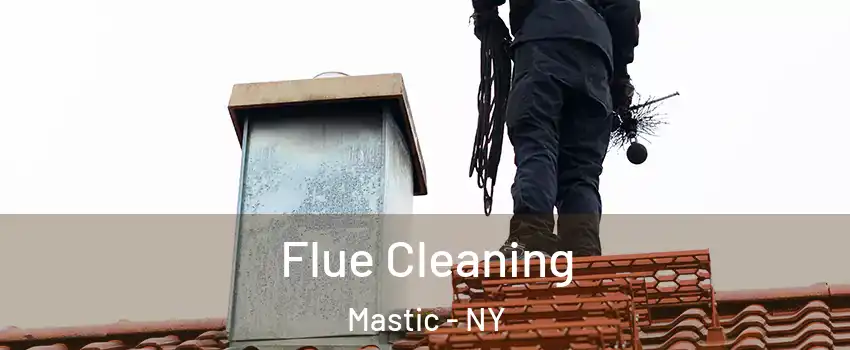 Flue Cleaning Mastic - NY