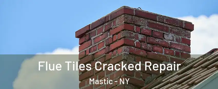  Flue Tiles Cracked Repair Mastic - NY