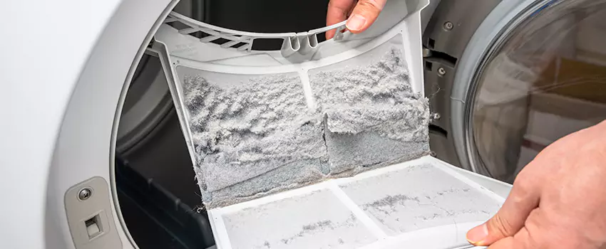 Best Dryer Lint Removal Company in Mastic, New York