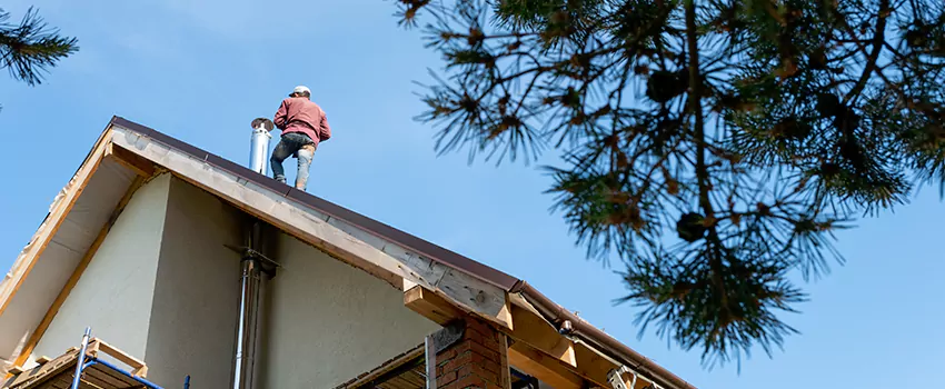Birds Removal Contractors from Chimney in Mastic, NY