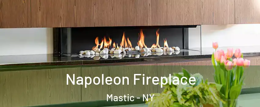  Napoleon Fireplace Mastic - NY