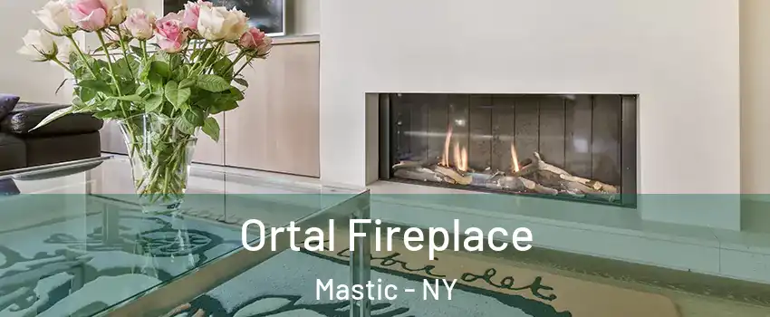  Ortal Fireplace Mastic - NY