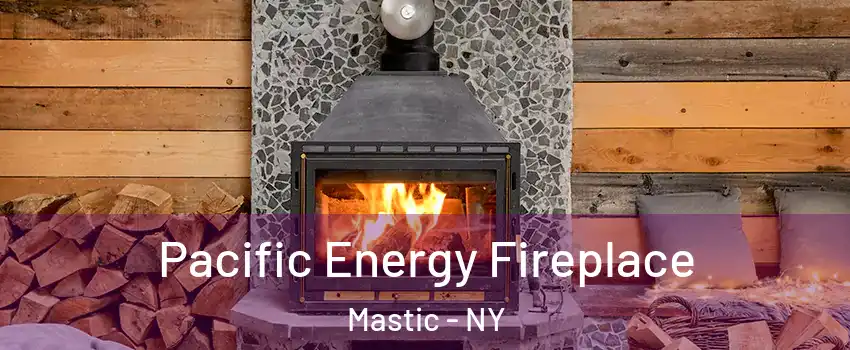  Pacific Energy Fireplace Mastic - NY